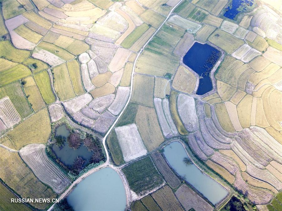 Деревня Сяоган в провинции Аньхой -- колыбель реформы в сельском хозяйстве КНР