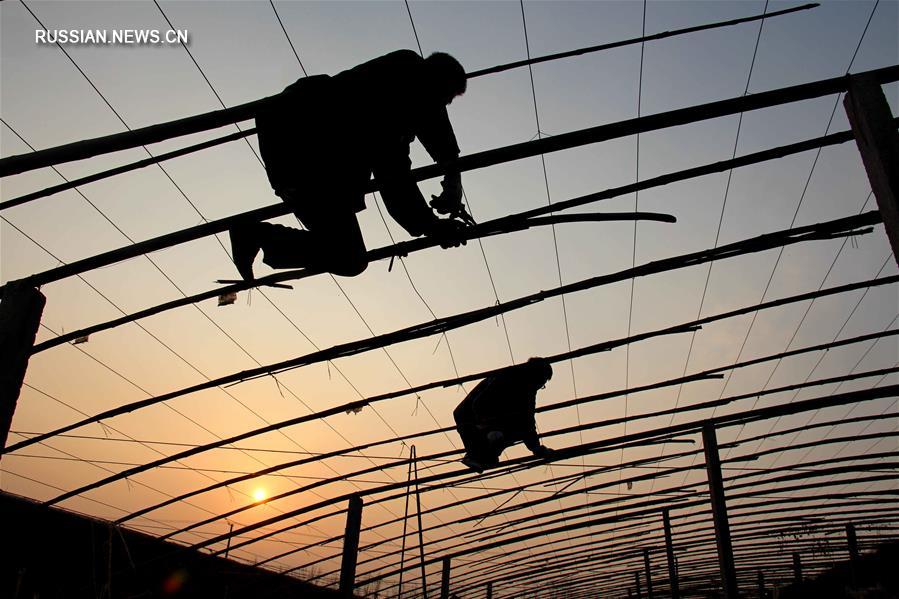 Полевые работы на пороге зимы