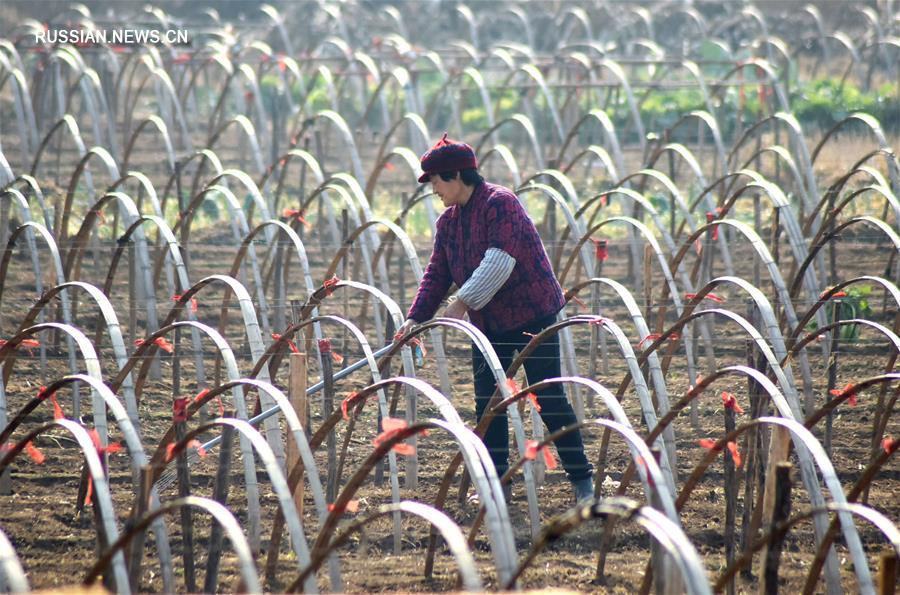 Полевые работы на пороге зимы