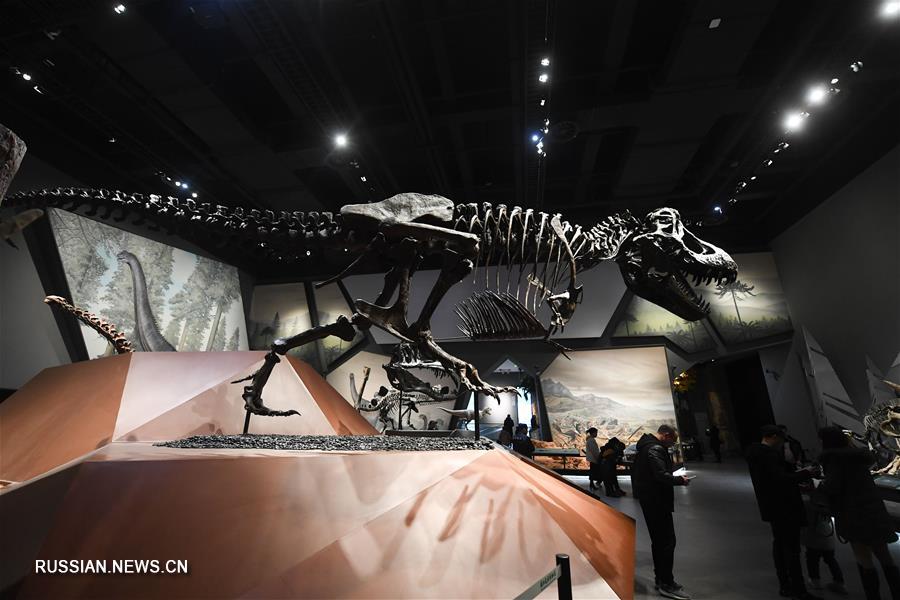 Праздничные каникулы в музее