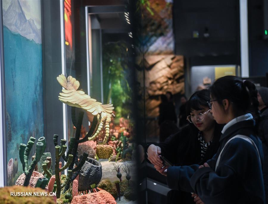 Праздничные каникулы в музее