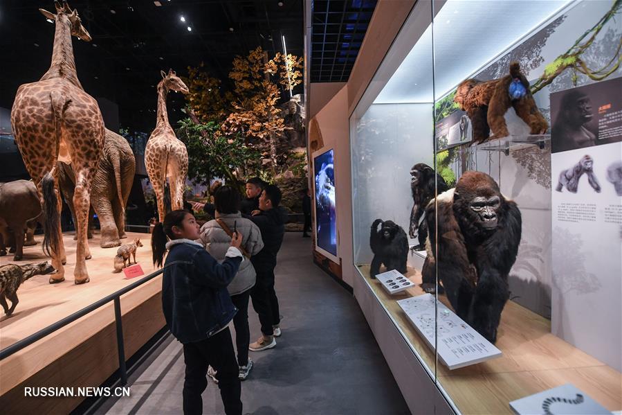 Праздничные каникулы в музее