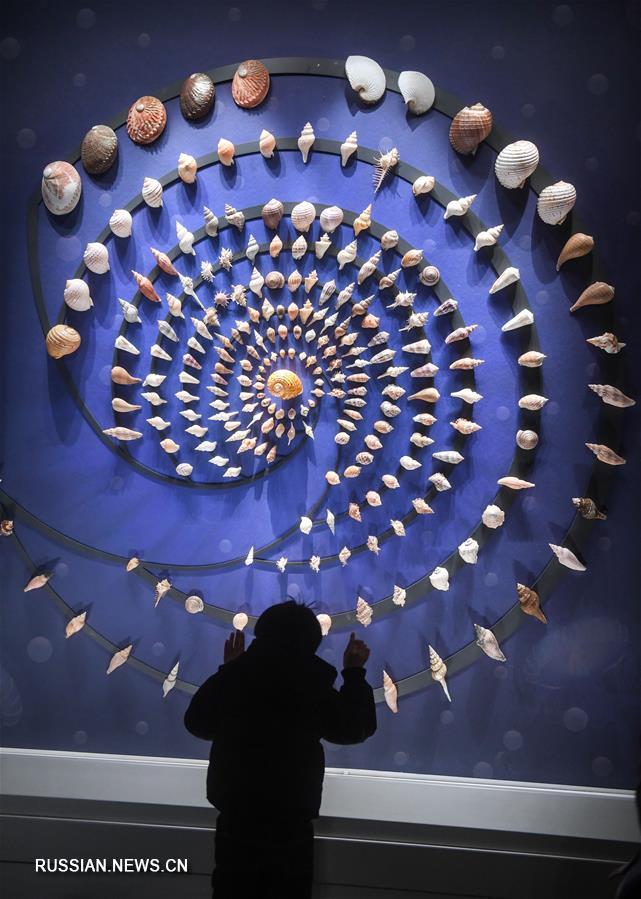 Праздничные каникулы в музее