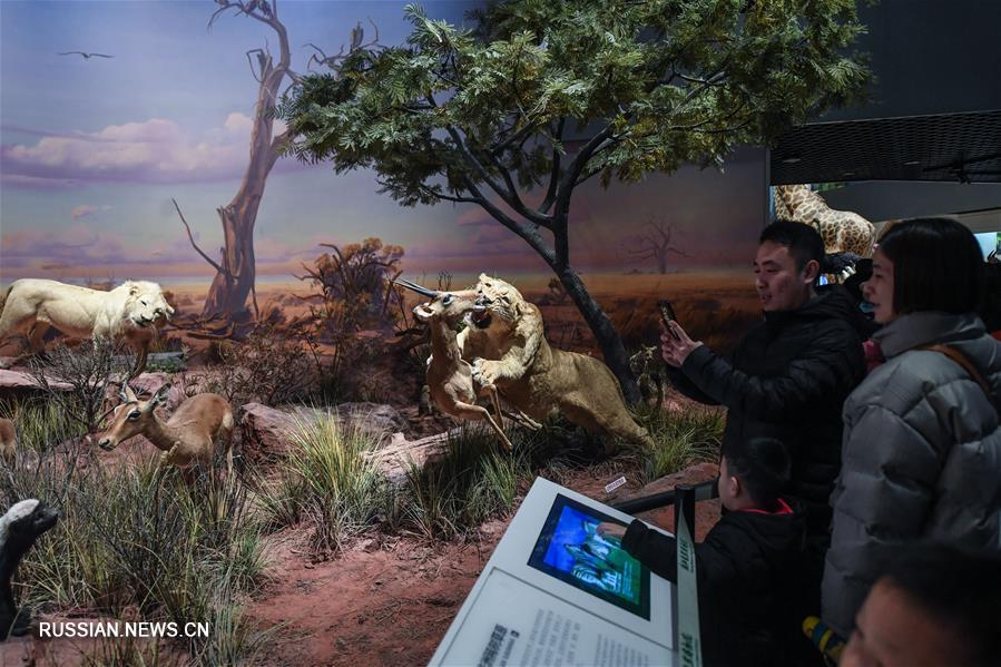 Праздничные каникулы в музее