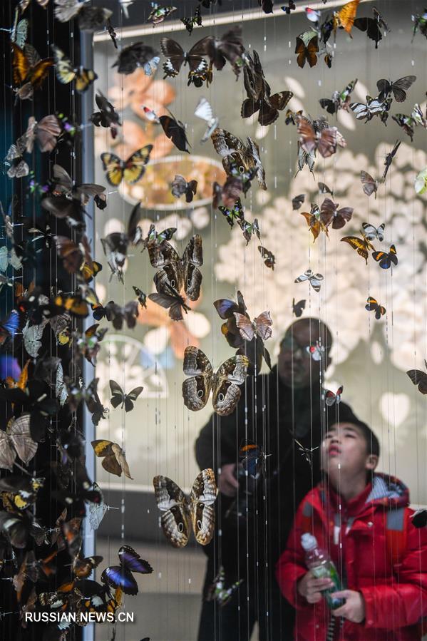 Праздничные каникулы в музее