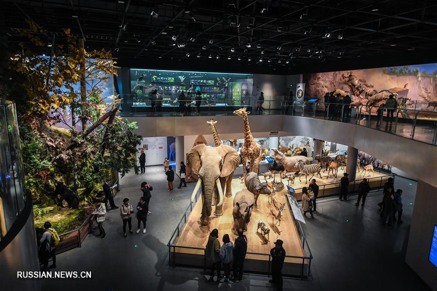 Праздничные каникулы в музее