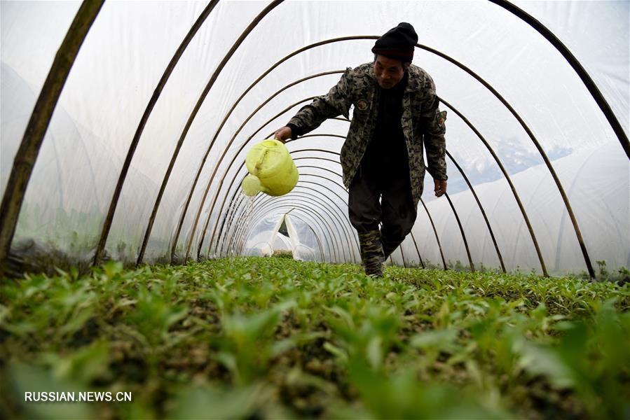 Февральские заботы фермеров в Китае
