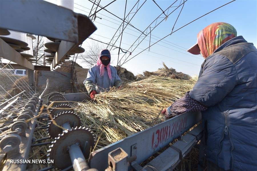 Практичная утилизация соломы в провинции Хэйлунцзян 