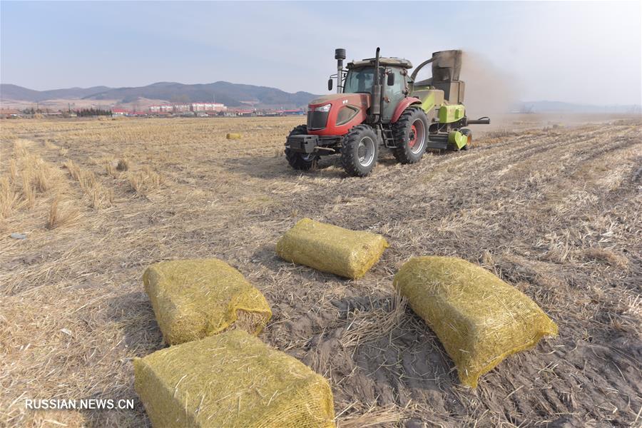 Практичная утилизация соломы в провинции Хэйлунцзян 