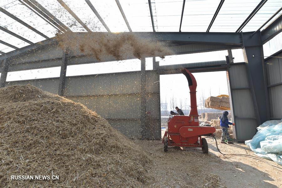 Практичная утилизация соломы в провинции Хэйлунцзян 