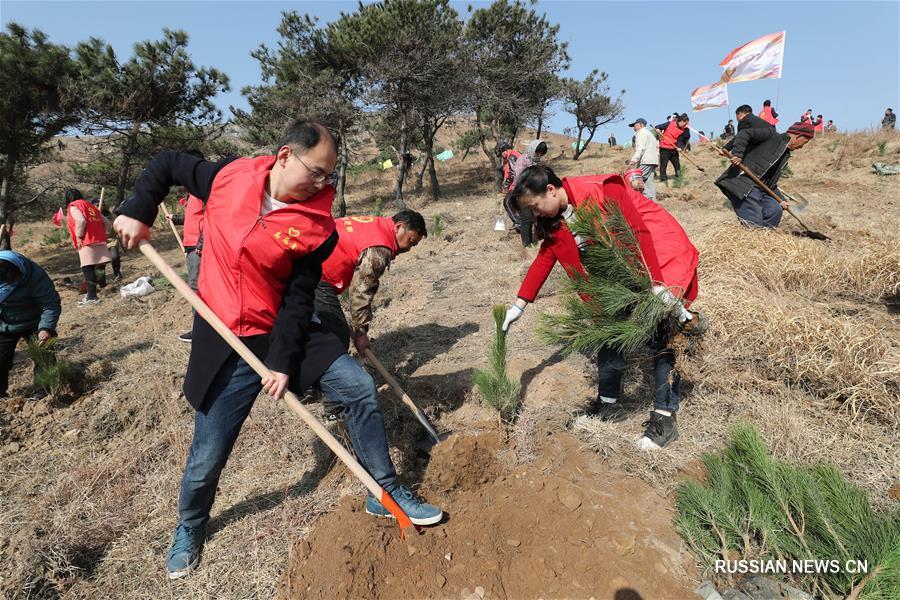 В Китае отмечается День посадки деревьев
