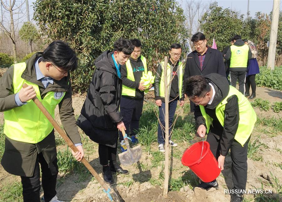 В Китае отмечается День посадки деревьев