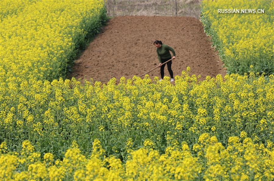 Весна на сельскохозяйственных угодьях Китая