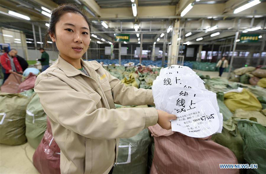 （经济）（18）中国电商走进俄罗斯百姓家