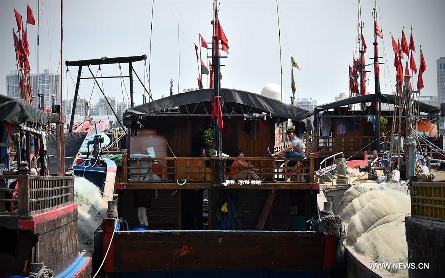 В акватории Южно-Китайского моря введен сезонный запрет на ловлю рыбы 