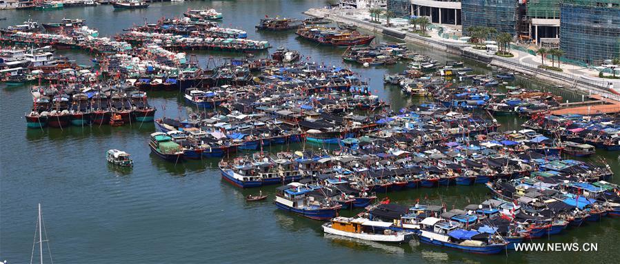 В акватории Южно-Китайского моря введен сезонный запрет на ловлю рыбы 