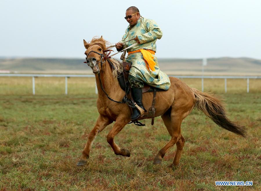 （晚报）（2）草原&ldquo;马都&rdquo;驯骏马