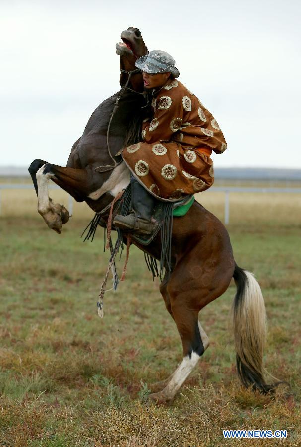 （晚报）（4）草原&ldquo;马都&rdquo;驯骏马