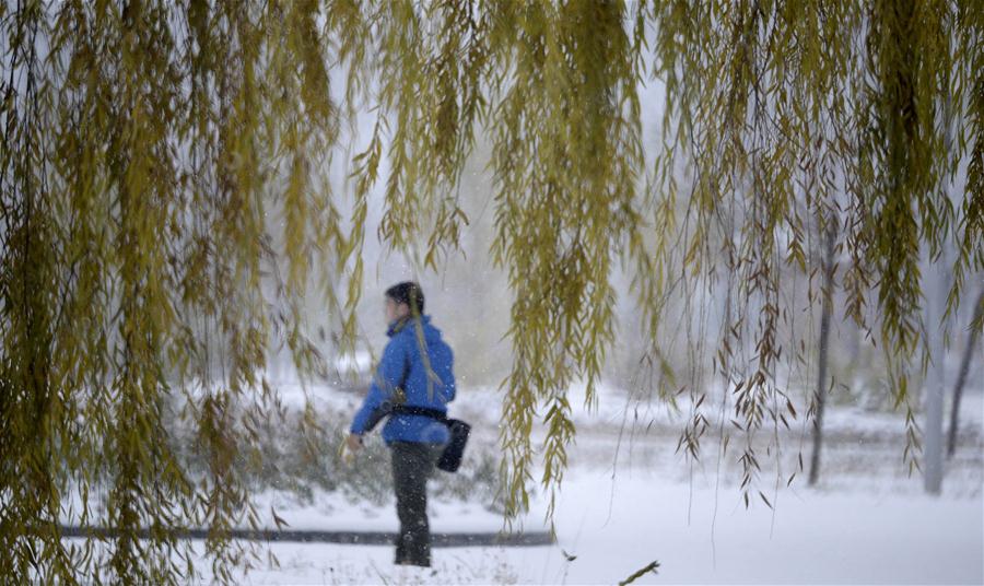 （生态）（1）北京：燕山深处雪飘飘