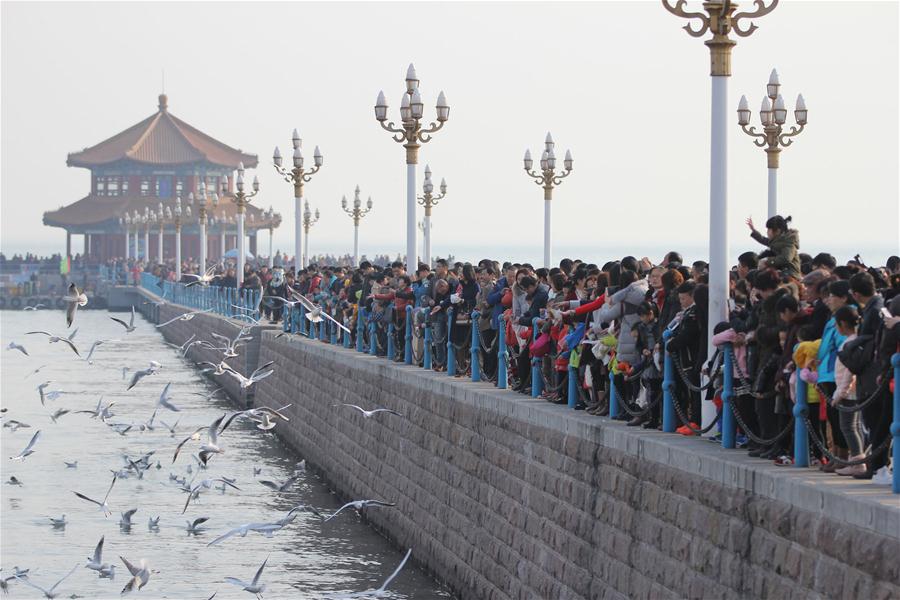 #（经济）（8）春节假期全国接待游客超3亿人次 