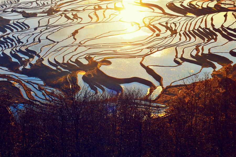 #CHINA-YUNNAN-YUANYANG TERRACES (CN)
