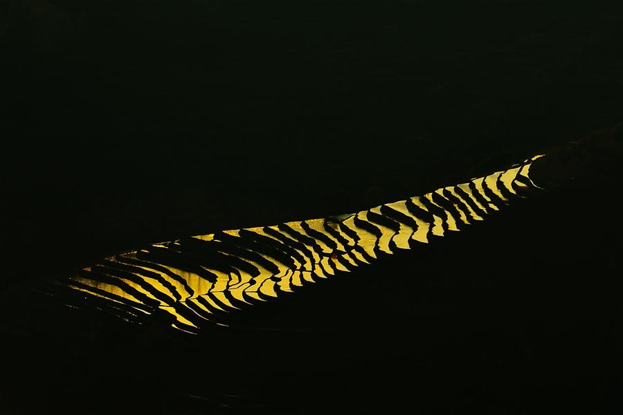 #CHINA-YUNNAN-YUANYANG TERRACES (CN)