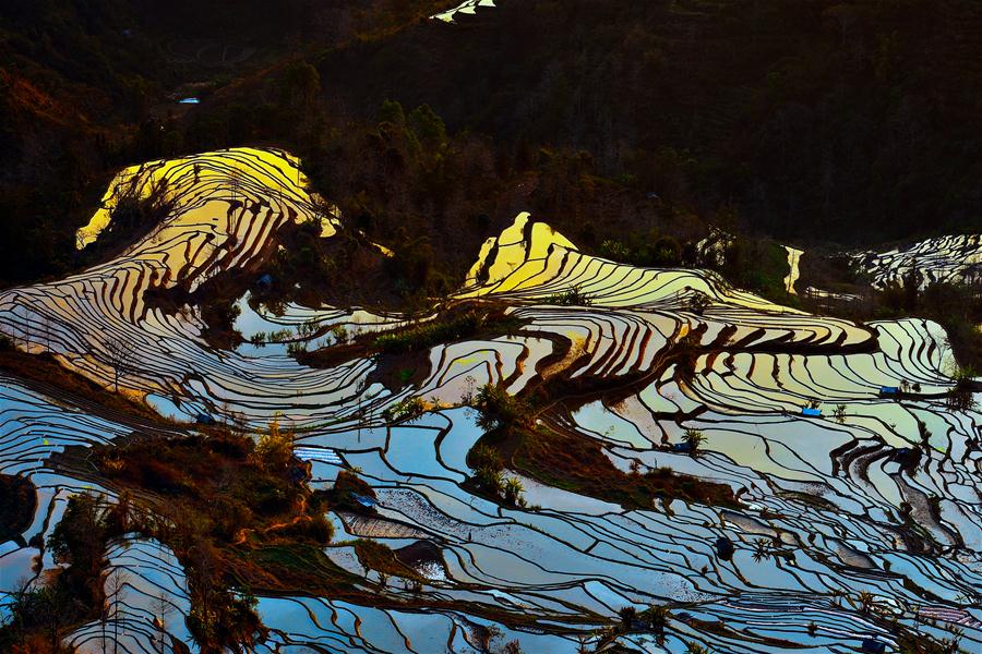 #CHINA-YUNNAN-YUANYANG TERRACES (CN)