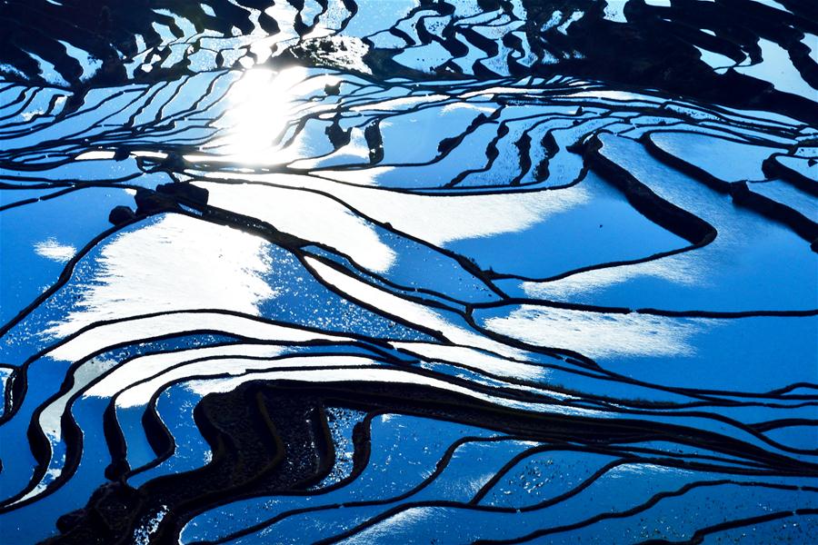 #CHINA-YUNNAN-YUANYANG TERRACES (CN)