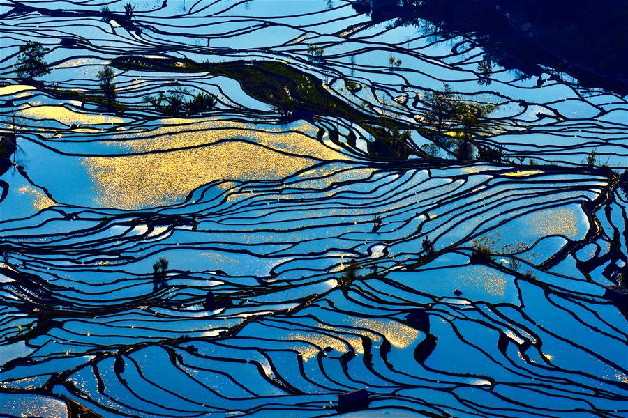 #CHINA-YUNNAN-YUANYANG TERRACES (CN)