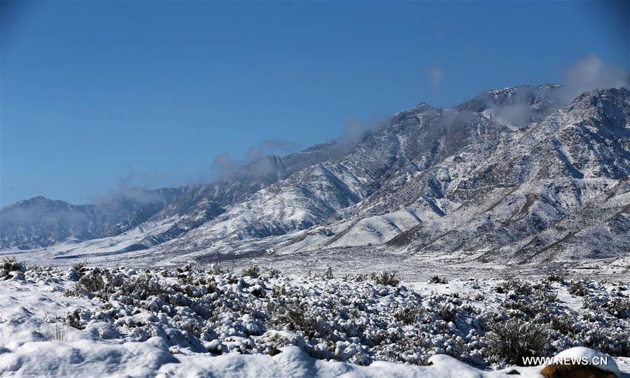 CHINA-YINCHUAN-SNOW-SCENERY(CN)*