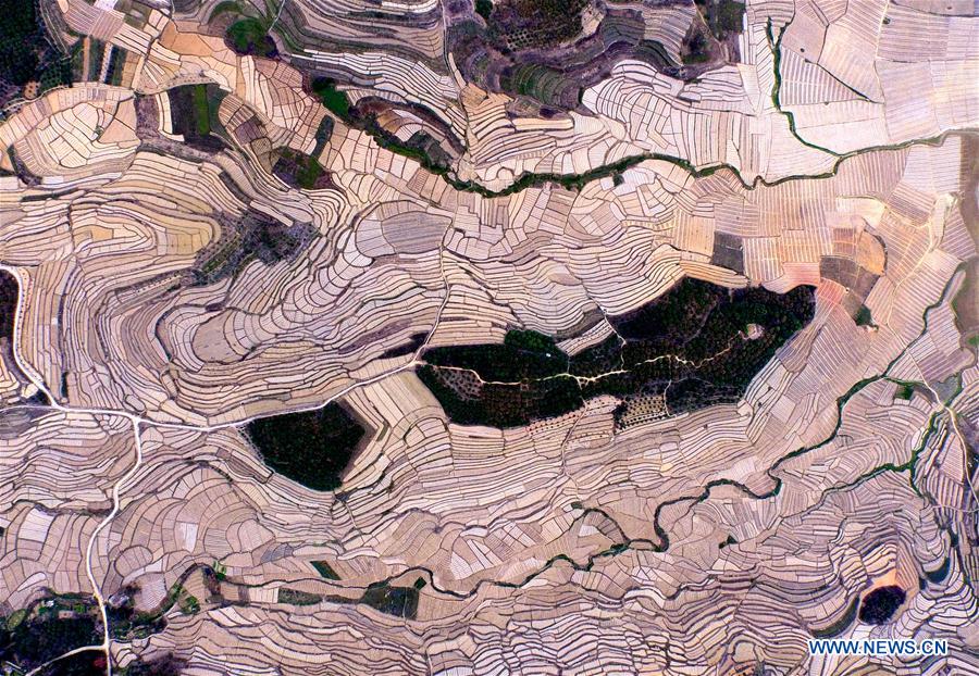 （美丽中国）（2）瓜乡瓜田春色佳