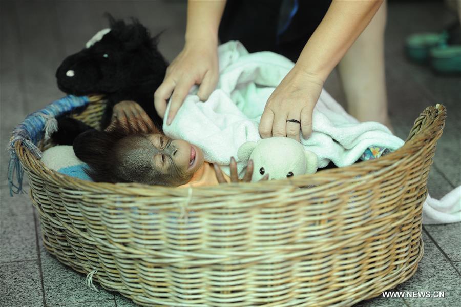 THAILAND-BANGKOK-ZOO