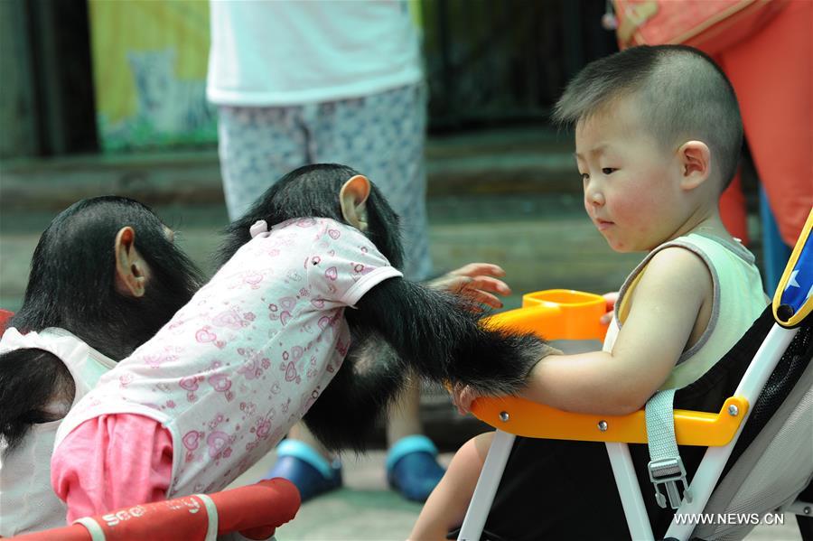 THAILAND-BANGKOK-ZOO