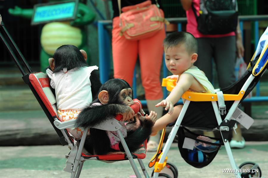 THAILAND-BANGKOK-ZOO