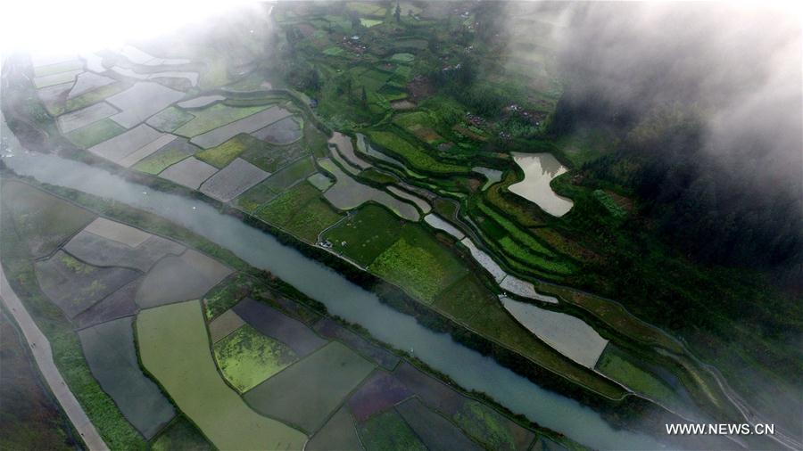 #CHINA-GUIZHOU-SPRING SCENERY(CN)