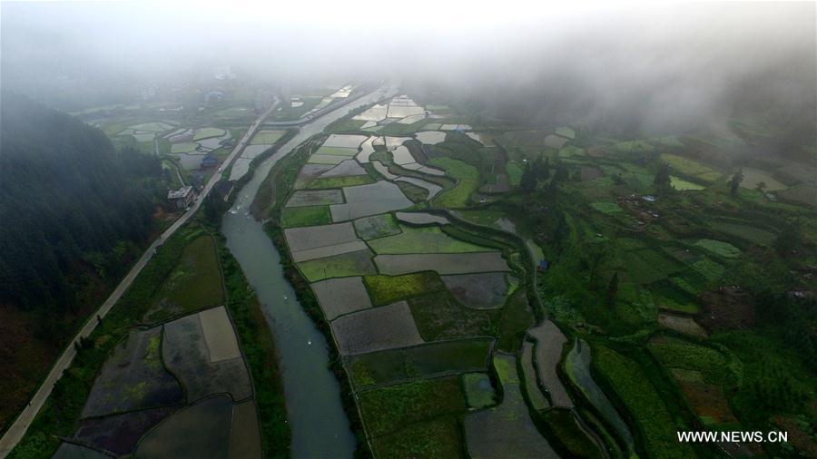 #CHINA-GUIZHOU-SPRING SCENERY(CN)