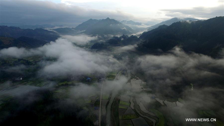 #CHINA-GUIZHOU-SPRING SCENERY(CN)