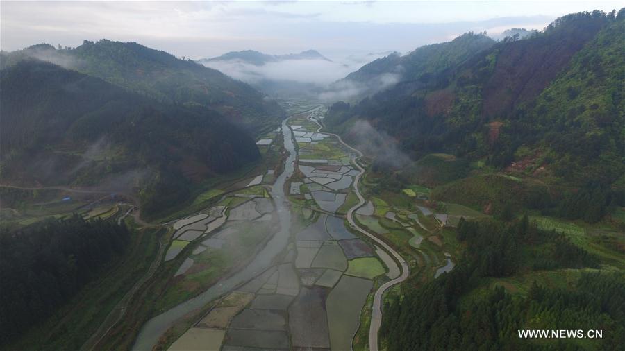 #CHINA-GUIZHOU-SPRING SCENERY(CN)