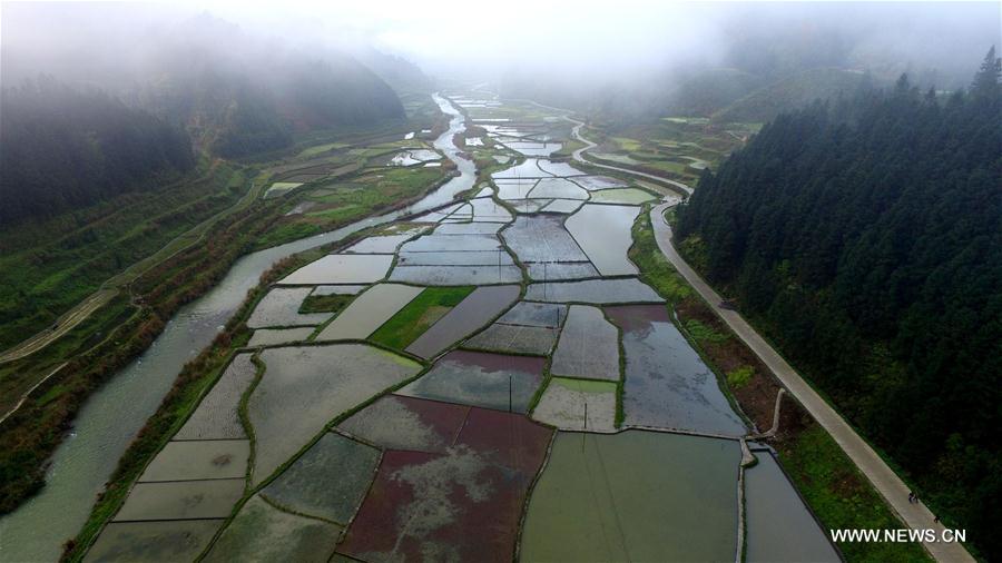 #CHINA-GUIZHOU-SPRING SCENERY(CN)