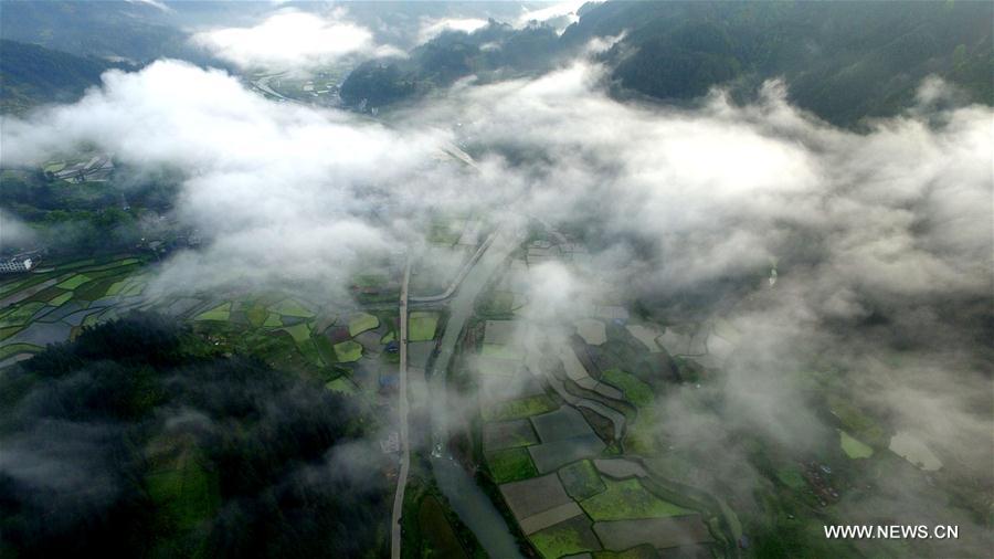 #CHINA-GUIZHOU-SPRING SCENERY(CN)