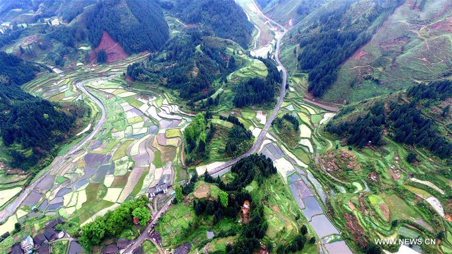 #CHINA-GUIZHOU-SPRING SCENERY(CN)