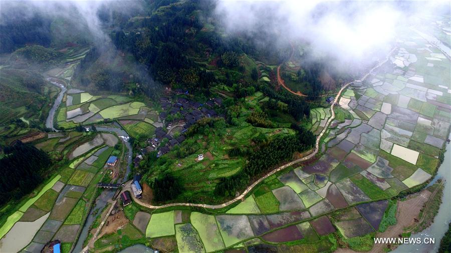 #CHINA-GUIZHOU-SPRING SCENERY(CN)