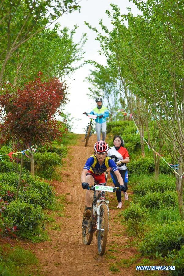 （体育）（4）自行车——2016松烟茶山骑游山地自行车赛开赛