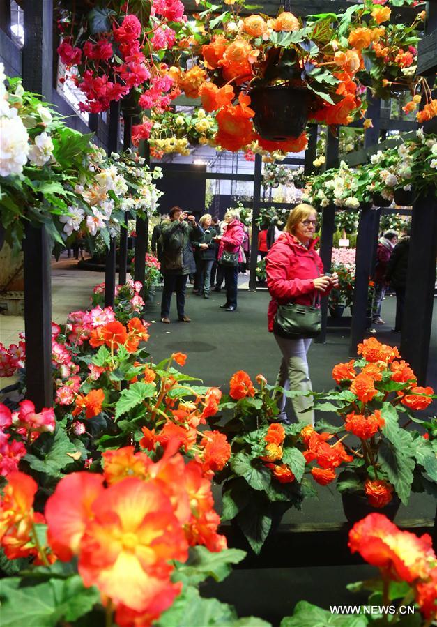 BELGIUM-GHENT-FLOWER SHOW