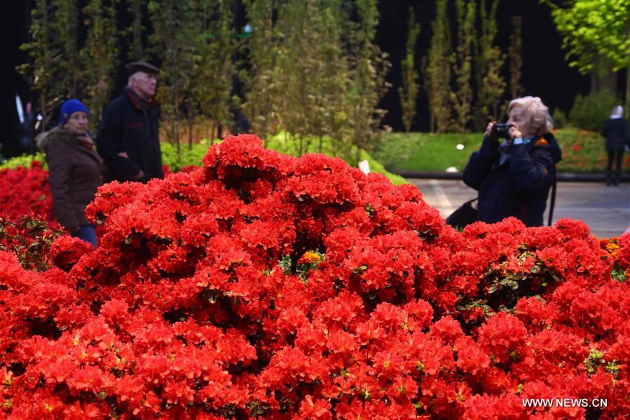 BELGIUM-GHENT-FLOWER SHOW
