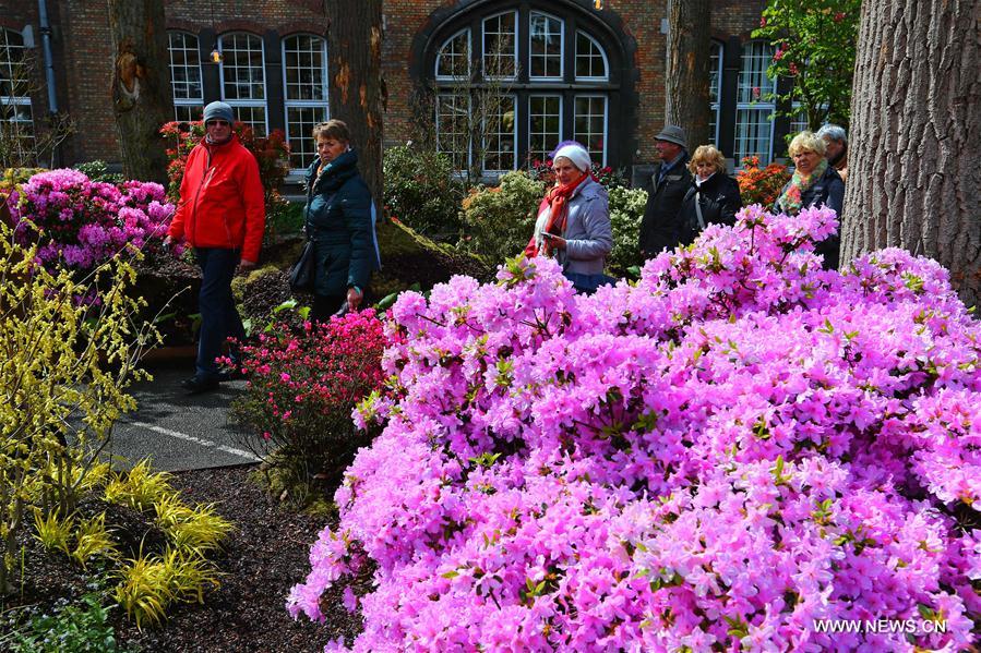 BELGIUM-GHENT-FLOWER SHOW