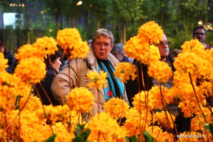 BELGIUM-GHENT-FLOWER SHOW