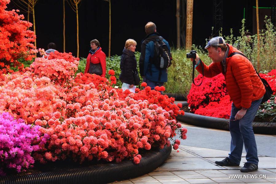 BELGIUM-GHENT-FLOWER SHOW