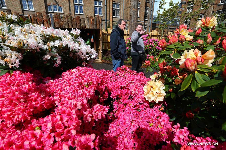 BELGIUM-GHENT-FLOWER SHOW
