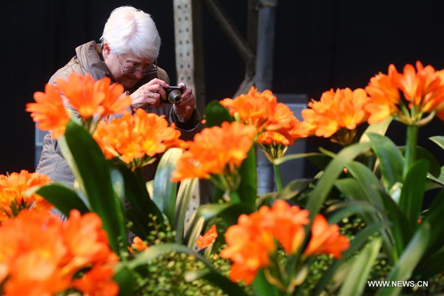 BELGIUM-GHENT-FLOWER SHOW